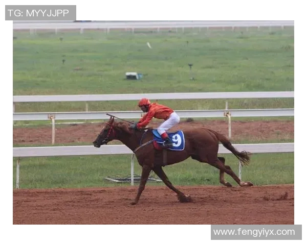 足球明星的百米冲刺挑战赛展现速度与激情的巅峰对决 足球明星的百米冲刺挑战赛展现速度与激情的巅峰对决