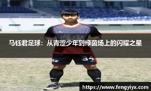 mile易游yy官方网站